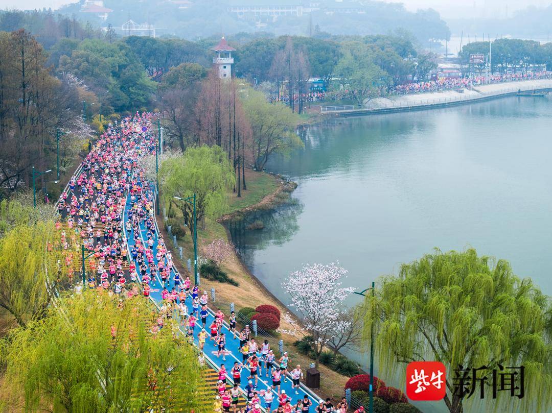 2024无锡马拉松“樱花雨”中开跑，刷新多项纪录